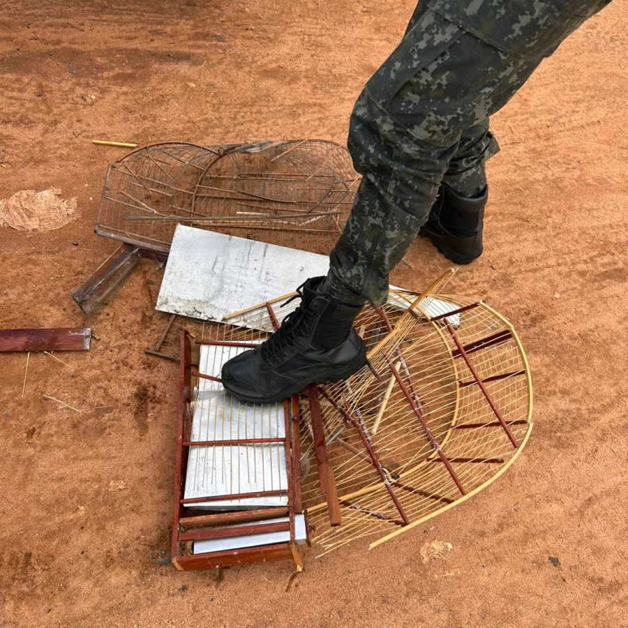 Polícia Ambiental autua criador por manter aves silvestres em cativeiro em Caconde-SP