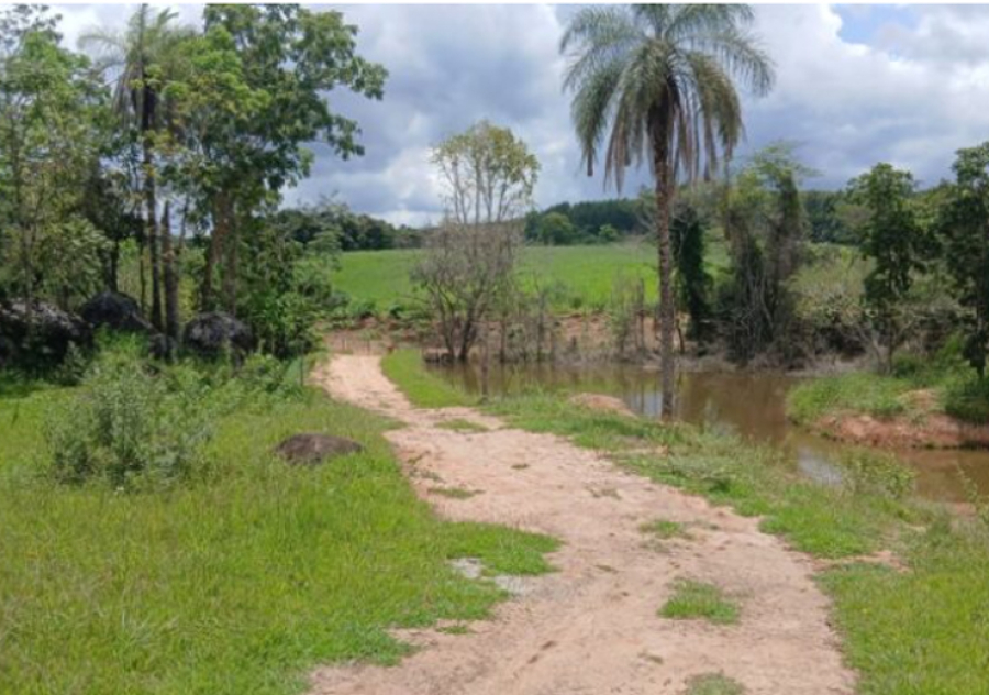 Operação Impacto: Polícia Ambiental aplica R$ 8 mil em multas por destruição de vegetação em Espírito Santo do Pinhal