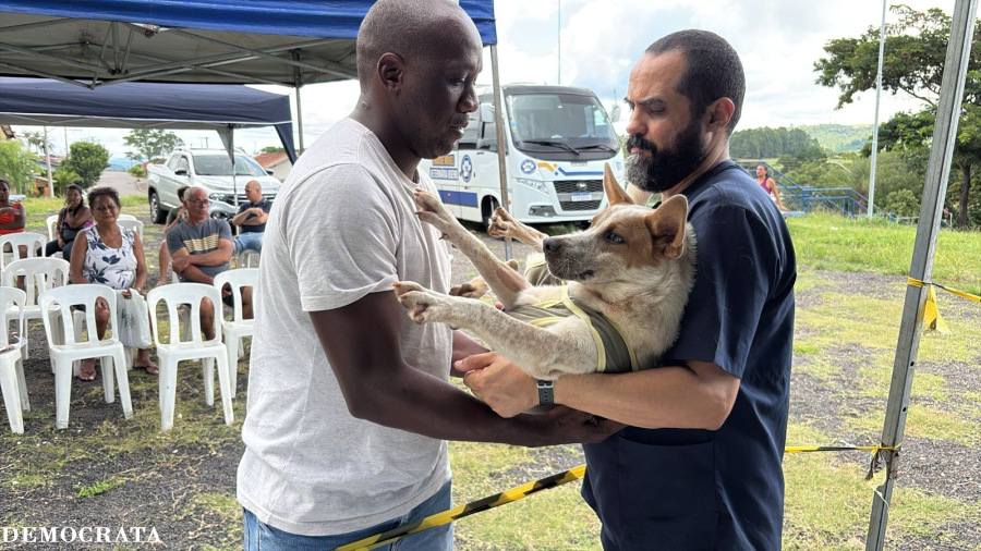 Castração gratuita atende 86 animais e continua neste sábado (21) em São José do Rio Pardo