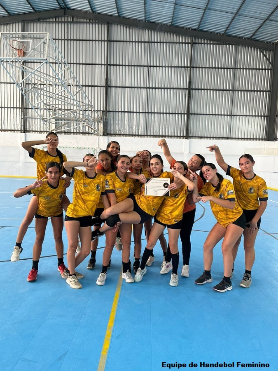 SEMEL registra vitórias e derrotas em competições de handebol e vôlei adaptado na região