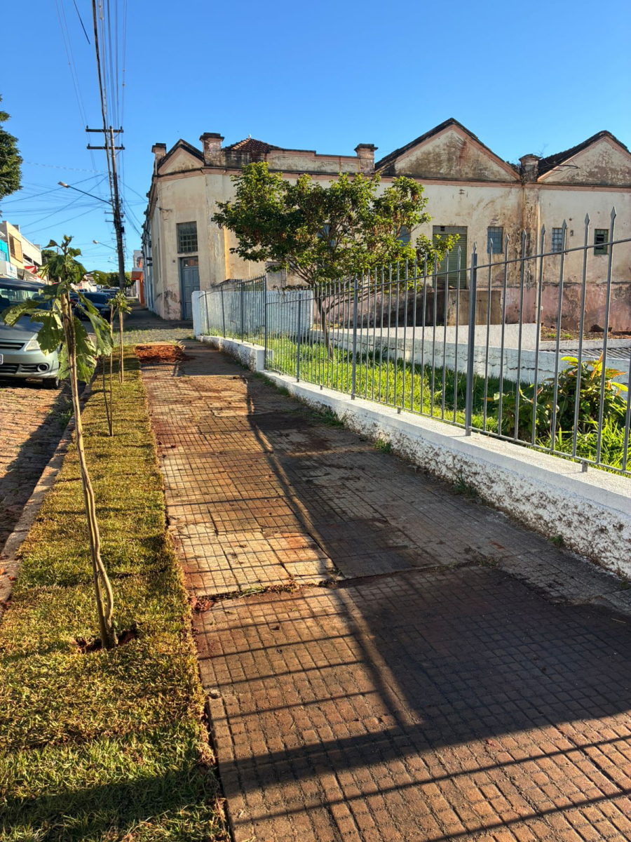 Prefeitura amplia arborização na Avenida 9 de Julho com plantio de mudas nativas